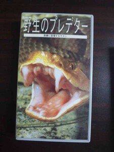 【VHS】 野生のプレデター 聖書に登場するサタン 日本語吹替版