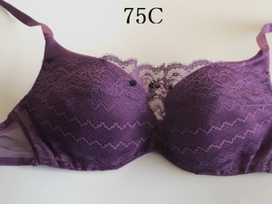 C75☆Andres Sarda　アンドレサルダ　海外高級ランジェリー　ブラ