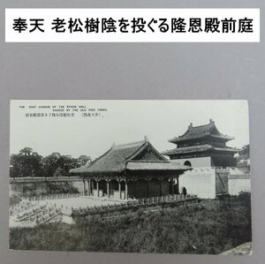 【絵葉書0135】中国 「奉天」 老松樹陰を投ぐる隆恩殿前庭 / 戦前絵はがき 古写真 中国