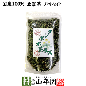 健康茶 国産100% タンポポ茎葉茶 無添加 70g ノンカフェイン 宮崎県産 たんぽぽ茶 送料無料