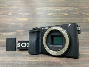 SONY ソニー α6300 ILCE-6300 ボディ ミラーレス一眼カメラ #66