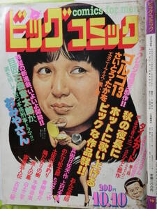 ビッグコミック 1981/10/10日号 桃井かおり29才,明治大学,野坂昭如51才,柄本明33才,ハンナ・シグラ38才,さかもと瓢作 才,日暮修一,垣井良