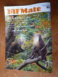 JAF Mate 2019年11月号（中古）