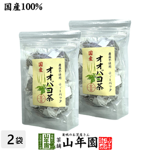 お茶 健康茶 国産 100% オオバコ茶ティーパック 1.5g×20p×2袋セット 無農薬 ノンカフェイン 宮崎県産