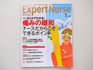 1911　Expert Nurse (エキスパートナース) 2010年 01月号【特集】Q&Aでわかる！　痛みの緩和　ナースだからこそできるポイント