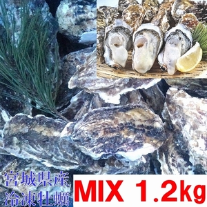 牡蠣 殻付き 牡蠣 送料無料 1.2ｋg（目安11粒） ＭＩＸ 冷凍便 牡蠣 殻付き殻付き牡蠣 殻付き 殻付 カキ 加熱用 牡蛎 かき　松島牡蠣屋