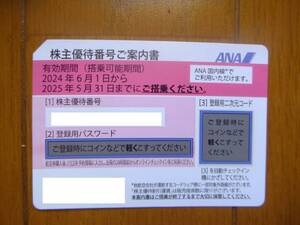 ANA　全日空　株主優待券　2025年5月31日　株主優待　番号通知可能 １枚