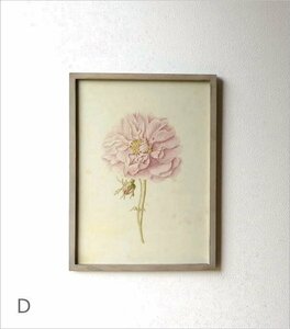 アートパネル 植物 アートフレーム ウォールアート アンティーク 薔薇の花のレトロな額絵 【Dタイプ】 送料無料(一部地域除く) dcr8960d