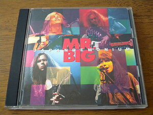 ■ MR.BIG / JAPANDEMONIUM ■ ロウ・ライク・スシ3 / 国内盤・帯付