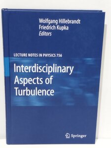 乱流の学際的側面 洋書/英語/物理学/流体力学/論文集/研究【ac03e】