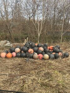 係船　ブイ　玉　尺玉　函館　道南 定置網 浮子 プラスチック製ブイ