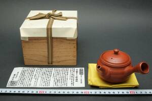 5859 新品未使用 常滑焼 沢田琴松 轆轤目 筋引 朱泥 急須 茶注 小振 玉露 煎茶道具 栞 木箱付 