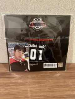 ANITEEZ  (HOCKEY UNIFORM) san トレカ付き