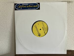 ZEBRA HEAD WANNABE UNRELEASED LP レコード　90‘s ROCK ゼブラヘッド 