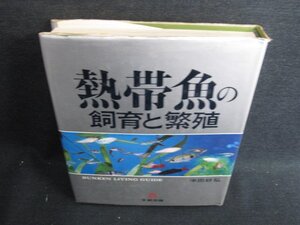 熱帯魚の飼育と繁殖　シミ日焼け強/HBY