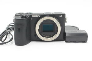 SONY(ソニー) α6600 ボディ　シャッター回数8122回