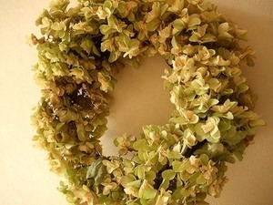 カシワバグリーン紫陽花のリース★特大40㎝★ハンドメイド