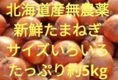 農薬・栽培期間中不使用北海道産無農薬★新鮮たまねぎサイズいろいろたっぷり約5kg