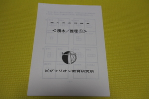 ピグマリオン　思考力育成 能力育成問題集　積木/推理（１）　中学受験　図形　空間認識 小学受験　早期教育