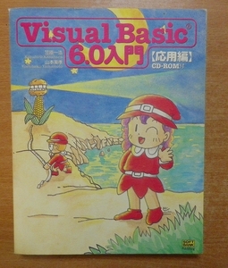 Visual Basic6.0入門 応用編　笠原 一浩／山本 美孝　ソフトバンクパブリッシング