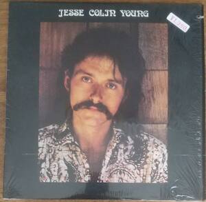 USA盤ＬＰレコード JESSE COLIN YOUNG ソング・フォー・ジュリー ★ ジェシ・コリン・ヤング SONG FOR JULI