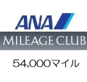 全日空ANA54,000マイル　希望の口座へ加算