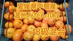 温州みかん10kg　AB級混合　愛媛県中島産