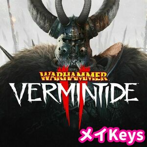 ★STEAM★ Warhammer: Vermintide 2 PCゲーム メイ