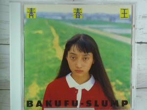 CD 　爆風スランプ　BAKUFU-SLUMP　青春王　～愛と青春の民たち～　★1991年発売　★「Here come the BAKUFU SLUMP」他 全10曲　C5101