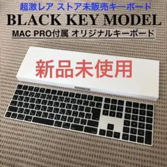 ブラック マジックキーボード Apple Magic Keyboard テンキー