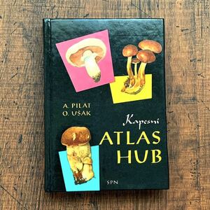 チェコの古いキノコ図鑑(ATLAS HUB 1975年)/アンティーク ヴィンテージ ヨーロッパ 洋書 キノコのイラスト キノコの絵 雰囲気◎/
