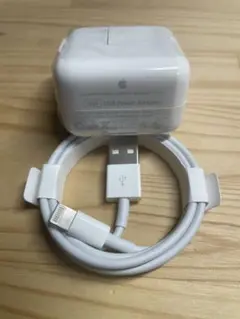 Apple純正iPad充電器セット