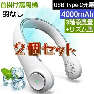 2個セット 首掛け扇風機 羽根なし 4000mAh ネッククーラー 扇風機 携帯扇風機 ネックファン 4段階 リズム風対応 静音 軽量 Type-C充電式