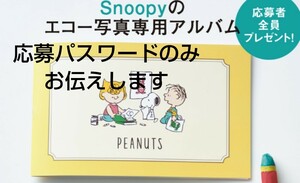 9月13日9時まで　初めてのたまごクラブ エコー写真アルバム 応募者全員プレゼントパスワード相互評価　送料無料　新規お断り