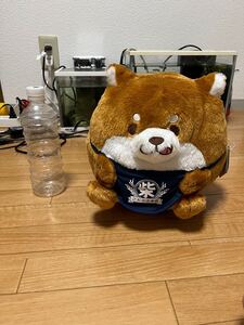 忠犬もちしば　まんまるGBぬいぐるみ　おかか