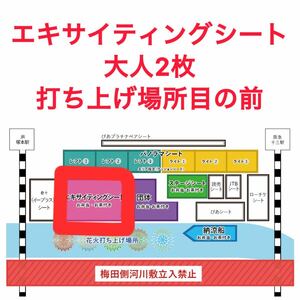 2024なにわ淀川花火大会チケット　エキサイティングシート大人2枚