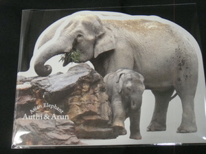 アルン　ウタイ　ポストカード　２枚　アジアゾウ　象　