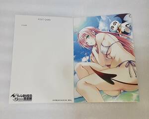 To LOVEる 原画展 ポスカ B-13 ララ ペケ　ポストカード バラ売り トラブル 15周年記念原画展 finale ジャンプ展　ポストカードブック