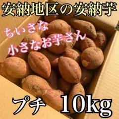 売り切れゴメン‼︎【正真正銘】種子島安納地区の安納いも　プチ　10kg