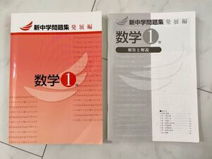 早稲田アカデミー　新中学問題集 発展編　数学　1年　中1 中学生