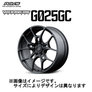 レイズ ボルクレーシング G025GC (2本セット) 5/120 22x9.0J +45 シャイニングライトメタル(SI) 06872904521SI