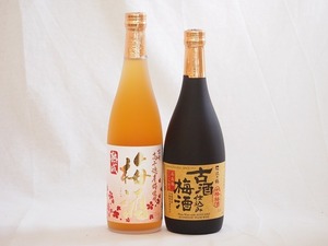 梅酒2本セット(古酒仕込み梅酒 高千穂産梅使用熟成梅酒) 720ml×2本