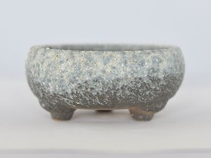 盆栽鉢 4号 鉄鉢 白雪 bonsai pot ぼんさい ボンサイ 陶器