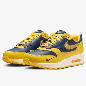 25.5㌢ 新品 ナイキ エア マックス 1 プレミアム FJ5479-410 NIKE W AIR MAX 1 PRM WMNS ウィメンズ 箱なし 送料無料 