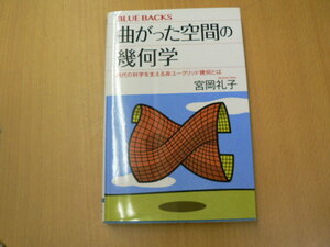 曲がった空間の幾何学 現代の科学を支える非ユークリッド幾何とは　宮岡 礼子　　Ｉ