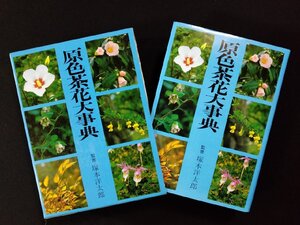 ｖΨ6　原色茶花大事典　塚本洋太郎　淡交社　昭和63年初版　古書/A11