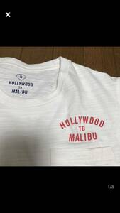 送料210円● Hollywood to Malibu 胸ポケット　Tシャツ　S