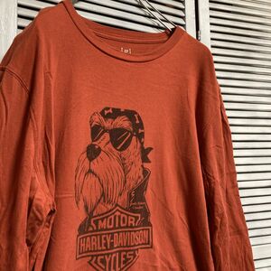 AUDV 1スタ オレンジ バイク Tシャツ 長袖 ロンT ハーレーダビッドソン 犬 90s 00s ビンテージ 古着 卸 仕入れ kg