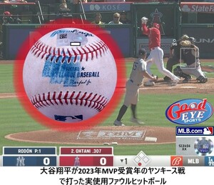 GE★超レア！大谷翔平が2023年MVP受賞年のヤンキース戦で打った実使用ファウルヒットボール#MLB機構証明☆50/50 ドジャース ジャッジ MVP