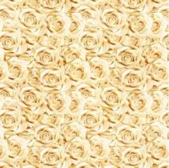 輸入生地　USAコットン(Packed Champagnes Roses)